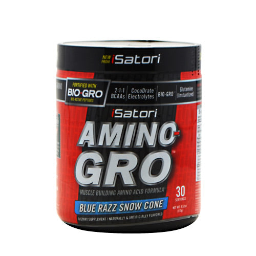 iSatori Technologies Amino-Gro - Blue Razz Snow Cone - 9.52 oz - 883488004735